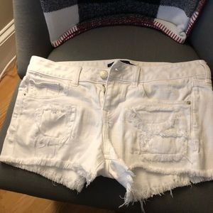 Express Shorts